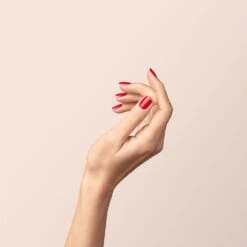 Set Di Pulizia Semipermanente Le Premier Green Flash Red Papavero Manucurist -Negozio Di Cosmetici 118238