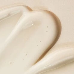 Elisir Botaniste Di Giovinezza Assoluta 30ml Immortalis Chaga Saeve -Negozio Di Cosmetici 131044