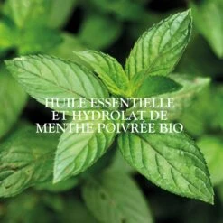 Lozione Viso Oli Essenziali 400ml Magnifica Peau Grasse Tendance Acnéique Sanoflore -Negozio Di Cosmetici 81475